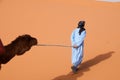Nomad Man pulling camel across the Sahara heat Royalty Free Stock Photo