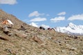 Nomad people near the Khardung Pass, Ladakh, India Royalty Free Stock Photo