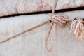 Nomad yurt detail - thick felt background and rope