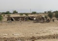 nomadic camp made with the tents of a tribe living in the desert