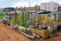 Nomadic Community Gardens in Shoreditch, London, UK