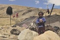 Nomadic people with goats, yaks, horses and donkeys near the high altitude lake of Tso Moriri