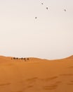 Nomads and camels crossing Sahara Desert