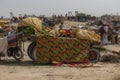 Nomads in desert areas of Punjab , Pakistan