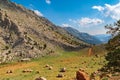 Nomads go to the plateau to graze their goats in Alacabel region of Akseki. Royalty Free Stock Photo