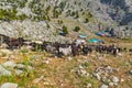 Nomads go to the plateau to graze their goats in Alacabel region of Akseki. Royalty Free Stock Photo