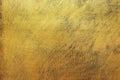 On the background of the wall, the plaster of the bark beetle is painted in golden color. Royalty Free Stock Photo