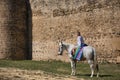 Non-binary person, young and South American, very makeup, mounted on a white horse, with a gay pride flag on the rump, next to an Royalty Free Stock Photo