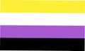 Non-binary pride flag