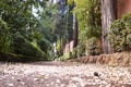 Non-Catholic Cemetery