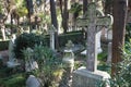 The Non Catholic Cemetery in Rome, Italy