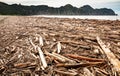 Forestry slash washed up on beach at Tolaga Bay, New Zealand after a flood Royalty Free Stock Photo