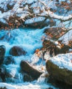 non-freezing mountain river with snow-covered trees along the banks on a frosty sunny day. Beautiful winter mountain landscape Royalty Free Stock Photo