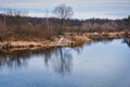 Non-freezing river on winter forest backgrounds Royalty Free Stock Photo