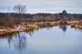 Non-freezing river on winter forest backgrounds Royalty Free Stock Photo