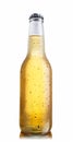 Non-glossy white beer bottle Royalty Free Stock Photo