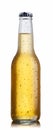 Non-glossy white beer bottle Royalty Free Stock Photo