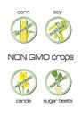 Non GMO crops set of signs: corn, soy, canola, sug