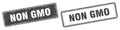 Non gmo stamp set. non gmo square grunge sign Royalty Free Stock Photo