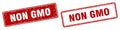 Non gmo stamp set. non gmo square grunge sign Royalty Free Stock Photo