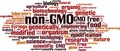 Non-GMO word cloud Royalty Free Stock Photo