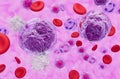 Dendritic cell recognise Non-hodgkin lymphoma (NHL) - closeup view 3d illustration