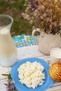 non-homogenized Homemade milk and homemade cottage cheese. Royalty Free Stock Photo