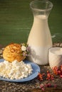 non-homogenized Homemade milk and homemade cottage cheese. Royalty Free Stock Photo