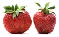 Non-ideal organic heirloom strawberries isolated Royalty Free Stock Photo
