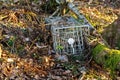 Small mammal trap Royalty Free Stock Photo