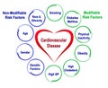 Risk Factors for Cardiovascular Disease Royalty Free Stock Photo