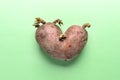 Non-standard ugly heart-shaped one potato on green background.