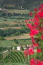 Non-urban green valley landscape with mountains in Italian Abruzzo Royalty Free Stock Photo