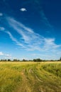 Non urban scene with country road