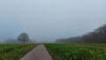 Non-urban scene. Country road. Tree silhouettes. Bare branches.