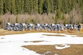 non-working snow generator on a slope without snow gear at a resort on a sunny day. Active recreation Royalty Free Stock Photo