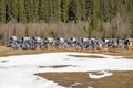 non-working snow generator on a slope without snow gear at a resort on a sunny day. Active recreation Royalty Free Stock Photo