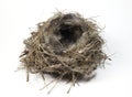 Bird nest Royalty Free Stock Photo