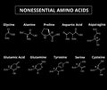 Nonessential amino acids. A set of amino acids. Chemical molecular formulas of amino acids. Vector illustration on