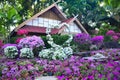 Nong Nooch Tropical Botanical Garden in Pattaya, Thailand Royalty Free Stock Photo