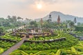 Nong Nooch Tropical Botanical Gardenat sunrise , Pattaya, Thai Royalty Free Stock Photo