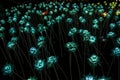 Nong Prajak Public Park Udon Thani, Thailand bokeh LED flowers colorful illuminated plastic optical fibers in dark back Royalty Free Stock Photo