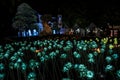 Nong Prajak Public Park Udon Thani, Thailand bokeh LED flowers colorful illuminated plastic optical fibers in dark back