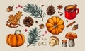 Autumn elements set: falling leaves, pine branches, pumpkins, mushrooms, cones. Royalty Free Stock Photo