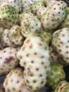 Noni or chesse fruit