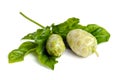 Noni exotic tropical fruit isolated on the white