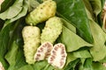 Noni fruit on leaf. Royalty Free Stock Photo