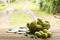 Noni fruit and noni basket on wooden table.Zoom in Royalty Free Stock Photo
