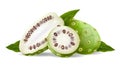 Noni fruits and leaves realistic