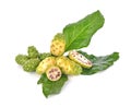 Noni isolatedm on  white background Royalty Free Stock Photo